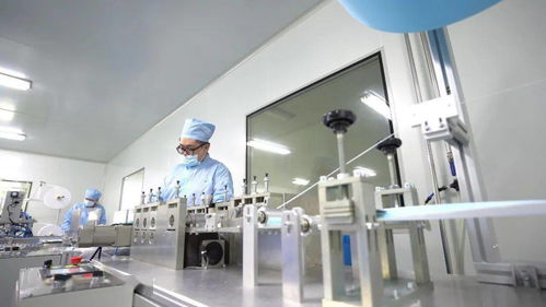 潮起千帆競 迎風再起航